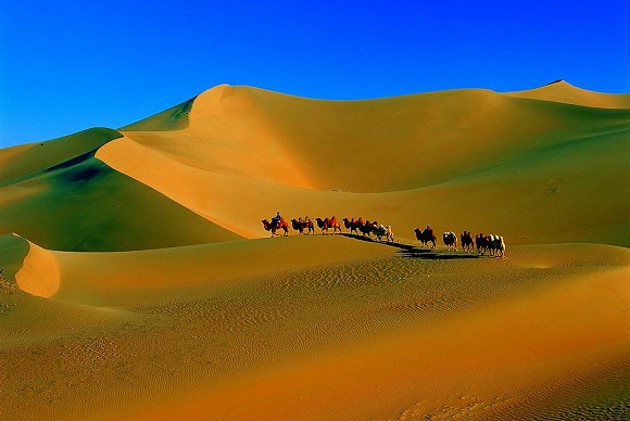 Kameltour in der Badain Jaran W�ste
